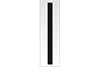 Chief Warrant Officer 5 rank insignia